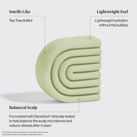 Tea Tree & Mint Clarifying Shampoo & Conditioner Bar Combo